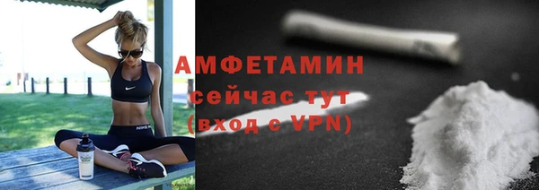 шишки Володарск