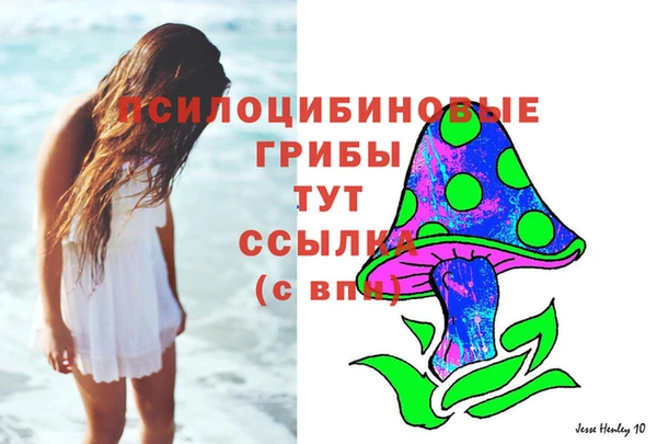 СК Волоколамск
